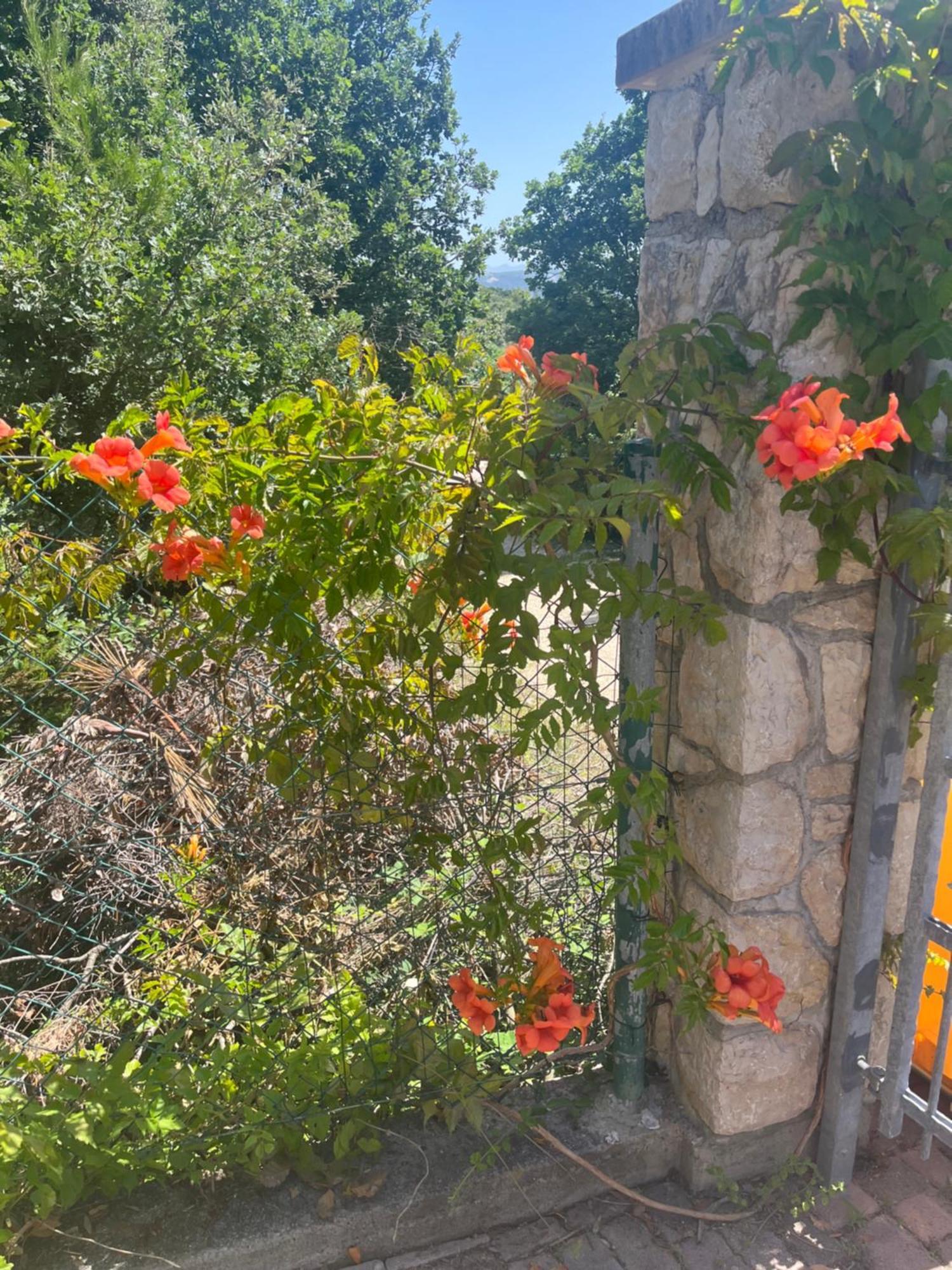 Villa Matovica Kampor Екстер'єр фото