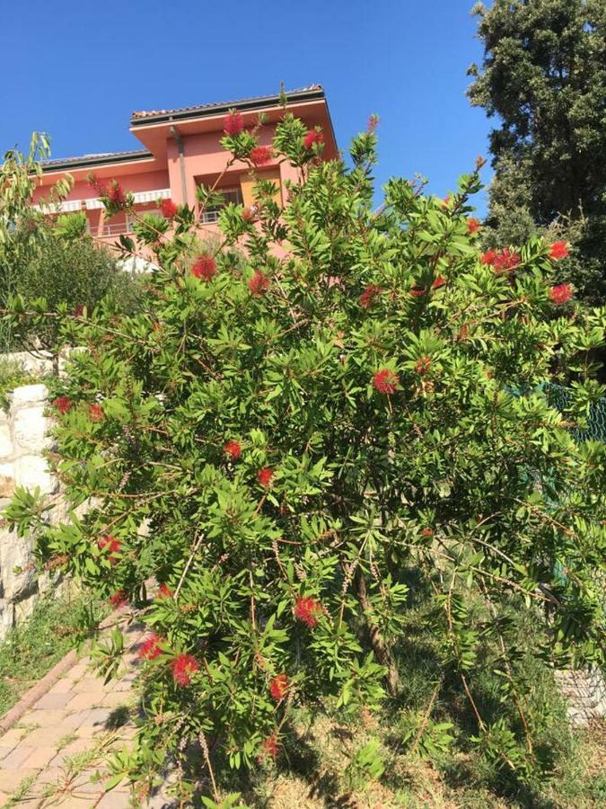Villa Matovica Kampor Екстер'єр фото